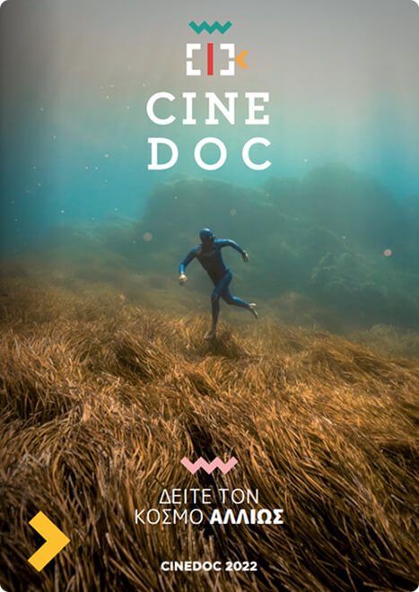 CineDoc previous year 2022