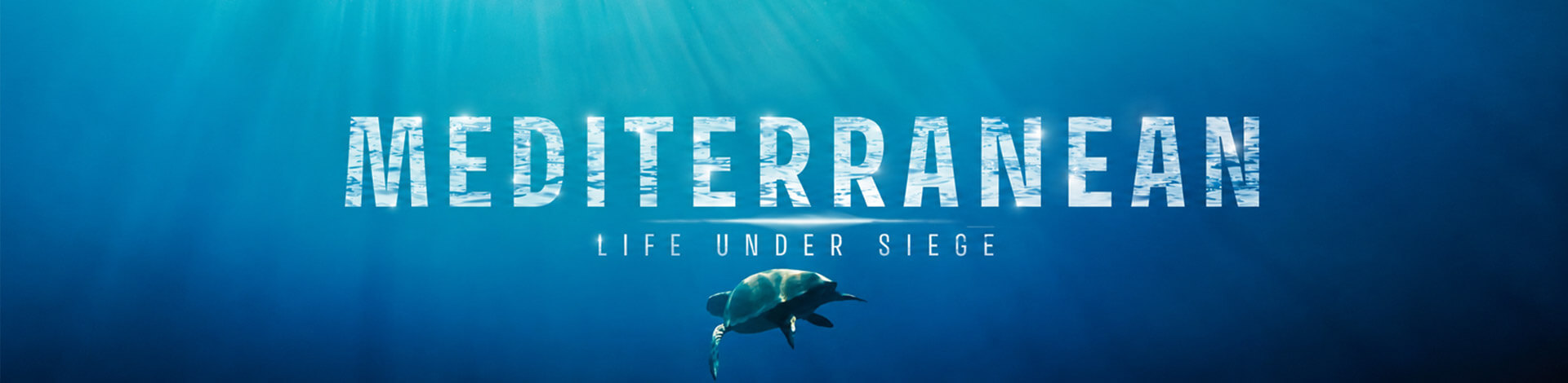 Mediterranean: Life under Siege hero image