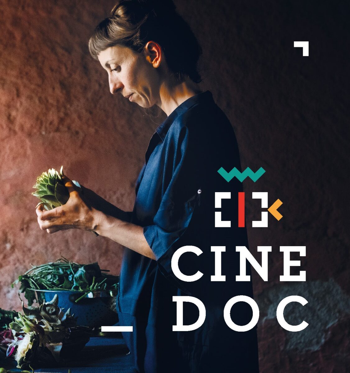 CineDoc previous year 2023-2024